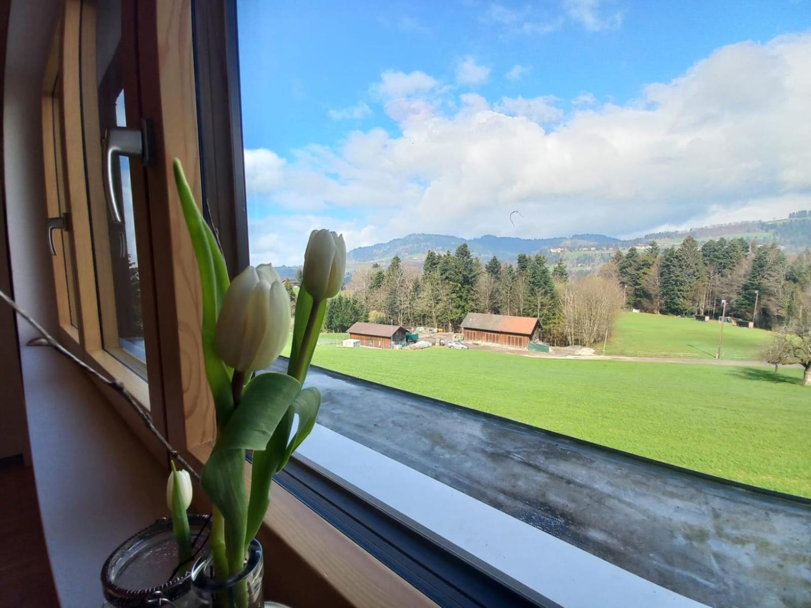 Auszeit Appartement Buch Buitenkant foto